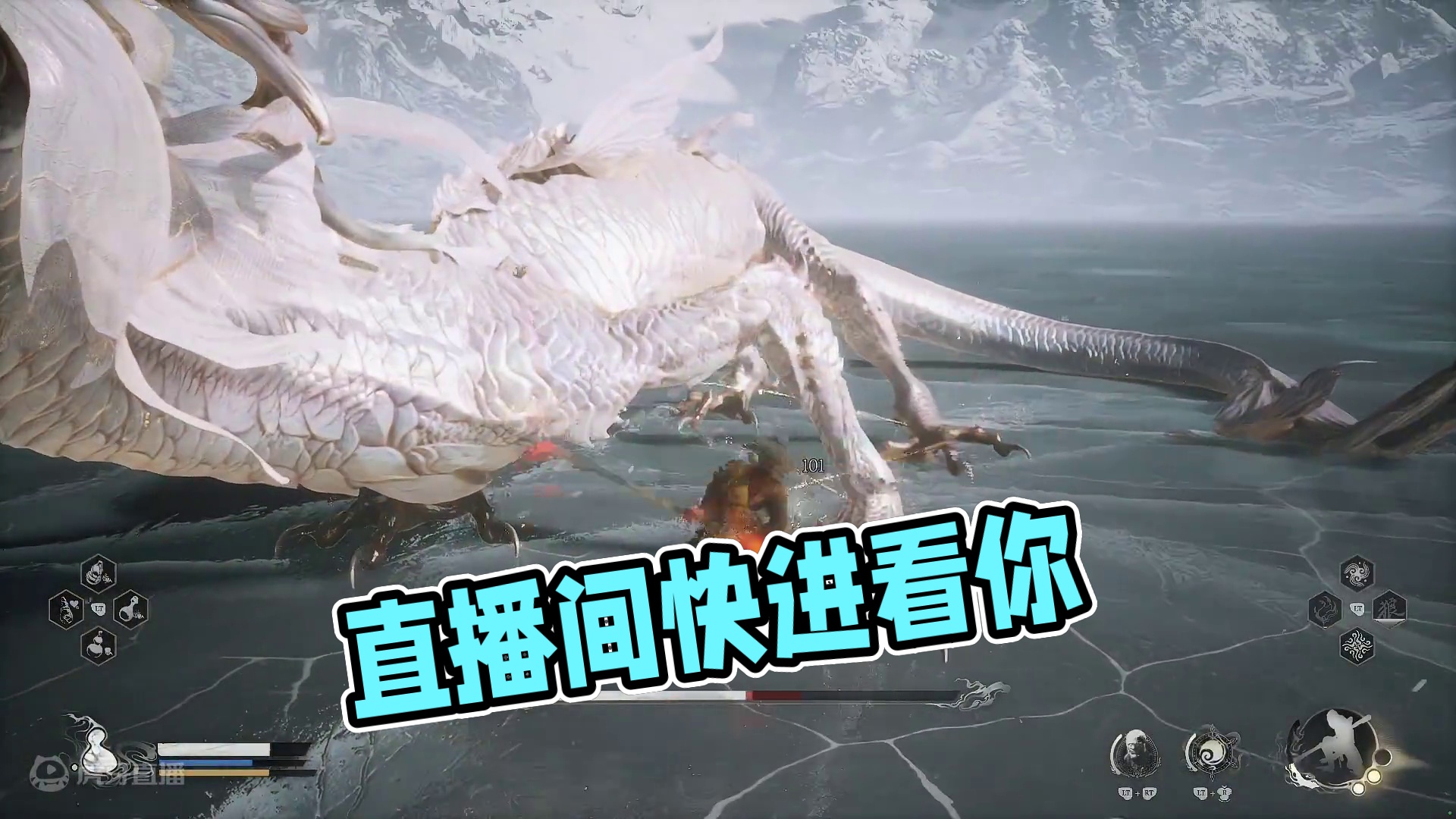 欢迎来到我的直播间片段2