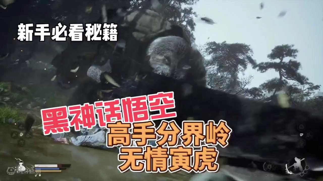 黑神话悟空高手分水岭大众玩家打寅虎的方法 黑神话悟空高手分水岭大众玩家打寅虎的方法#黑神话悟空 #黑