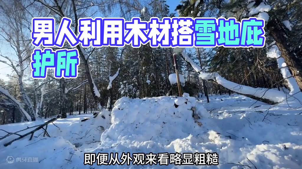 男人利用木材和积雪，就搭建出了雪地庇护所过夜#雪天露营 #庇护所 #野外建造