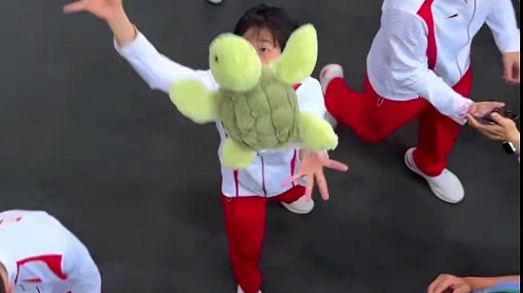 港澳之旅结束了，婵宝收获各式各样娃娃，潘展乐太有爱了