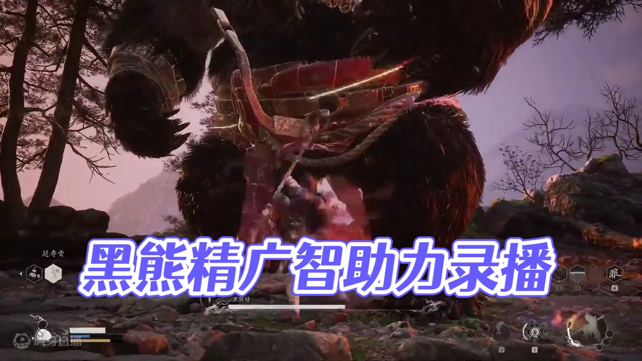 黑熊精~广智助我！