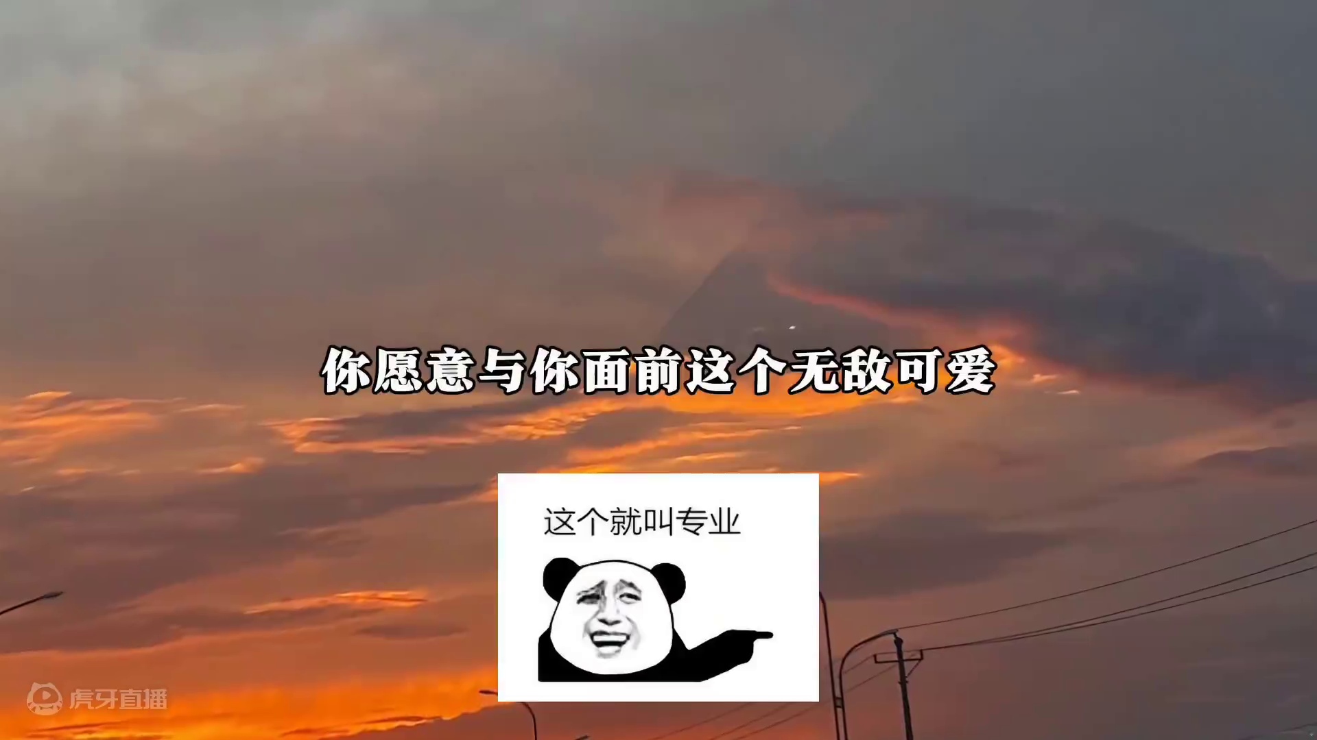 这个证婚词放在哪里都是相当搞笑的#广播剧 #配音 #声优都是怪物