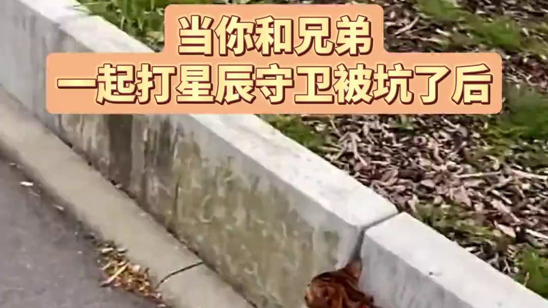 说好的兄弟齐心，其利断金呢！#命运方舟 #命运方舟新军团长 #玩家日常