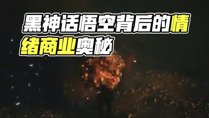 《黑神话：悟空》爆火的背后，你看到了什么？ #黑神话悟空 #情绪价值 #商业价值 #好书推荐 #好书