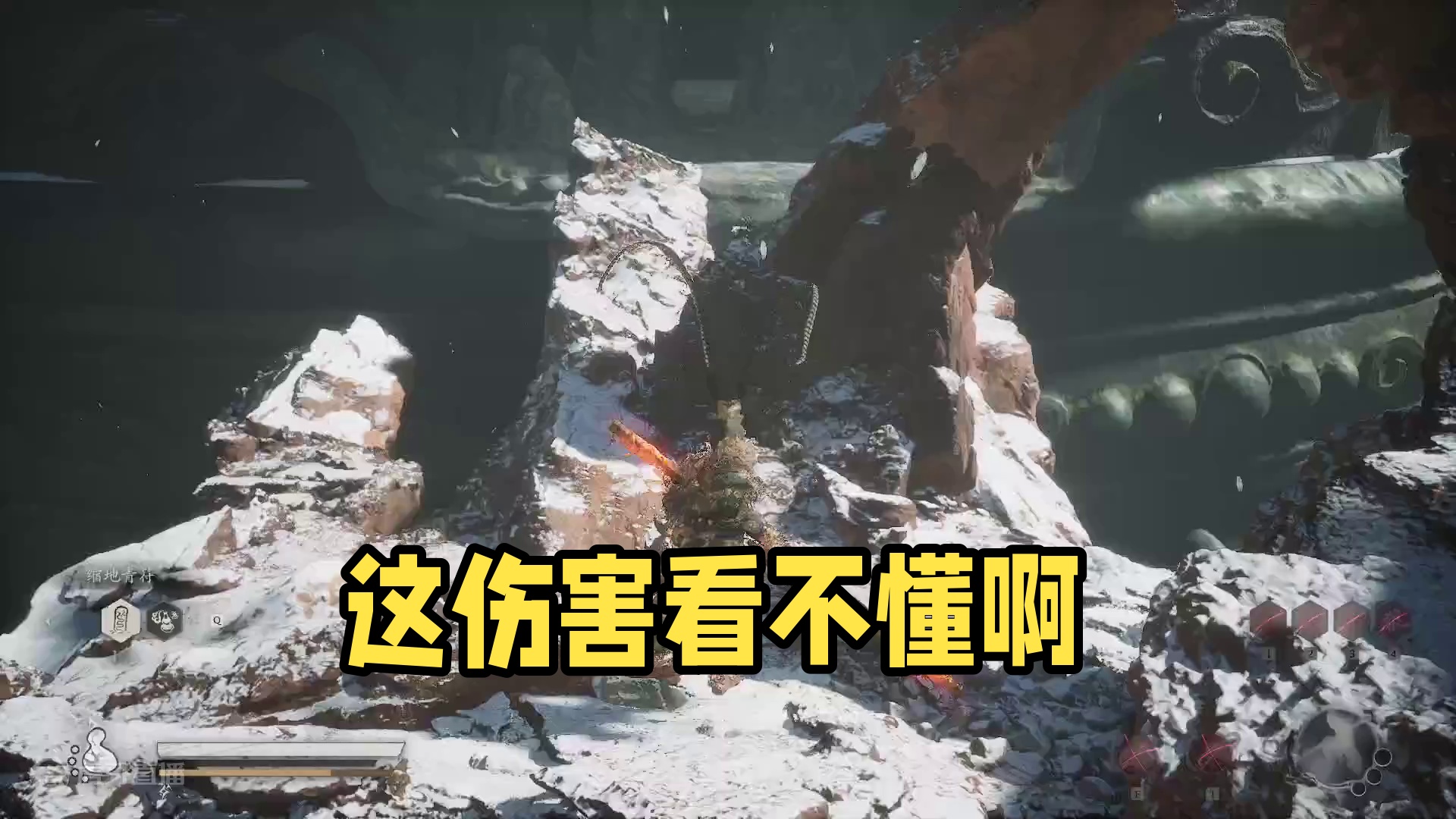 这伤害看不懂啊