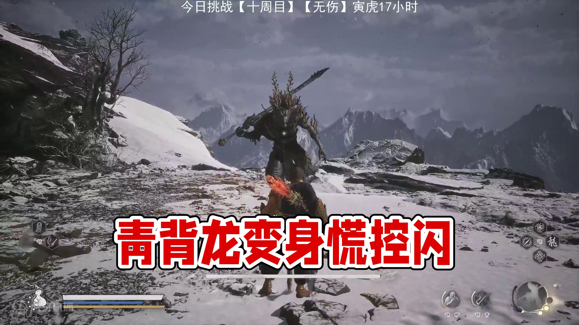 【十周目】【无伤】青背龙