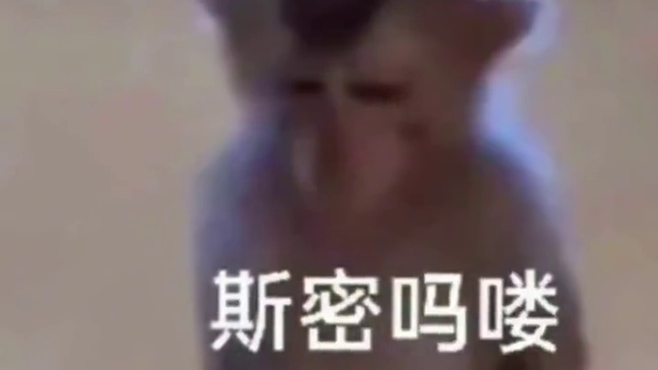 累了，想做一只吗喽……#元梦之星 #元梦之星精灵之森赛季 #齐天大圣 #吗喽