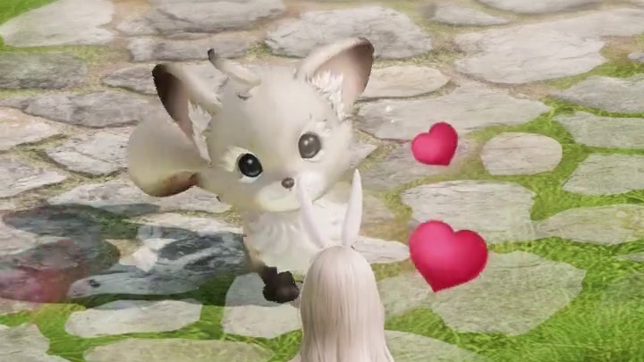 秀出你方舟的陪伴宠吧#命运方舟 #朋友问我回家都跟谁玩 #寻找命运方舟最有才的你