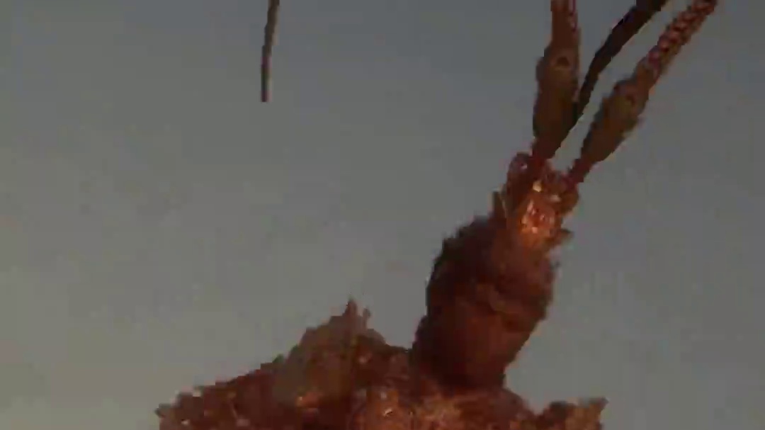 真大圣来了？最快速通只要一个跟头！！ #steam游戏 #游戏鉴赏家 #游戏 #单机游戏 #黑神话悟