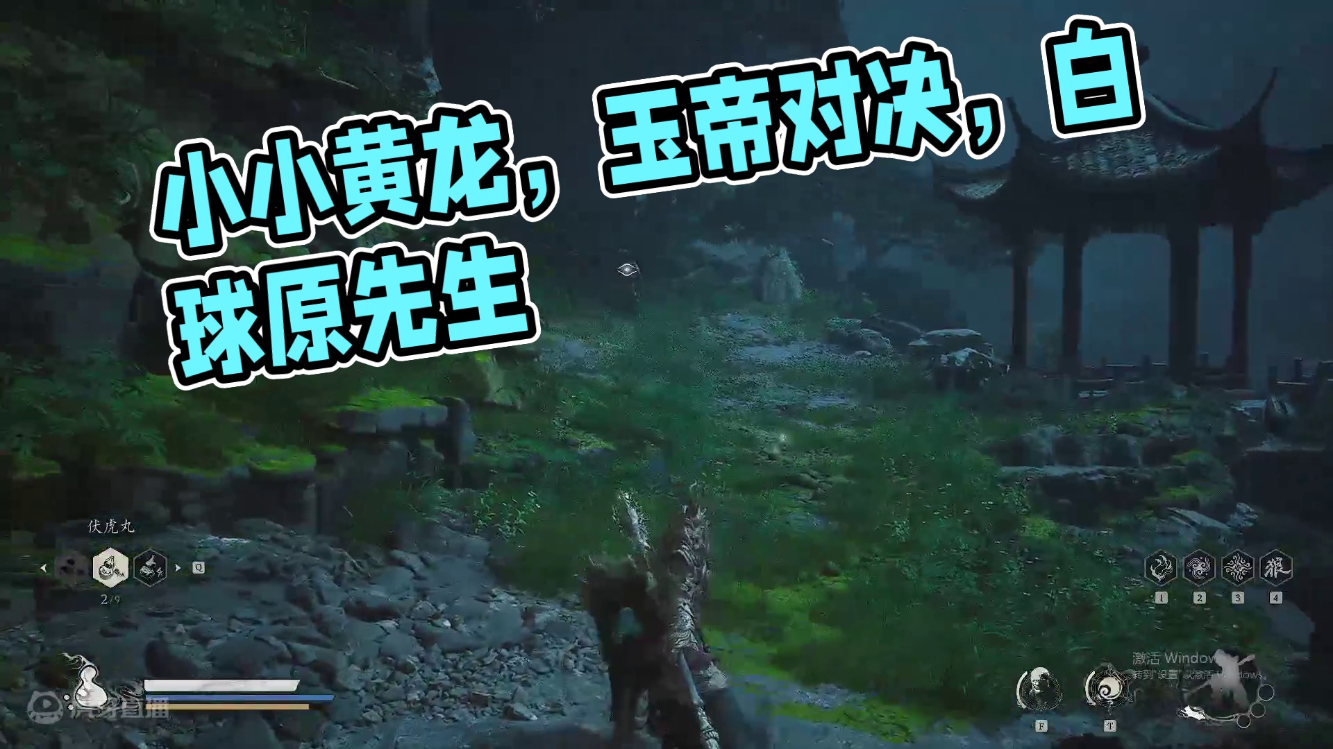 小小黄龙，拿下