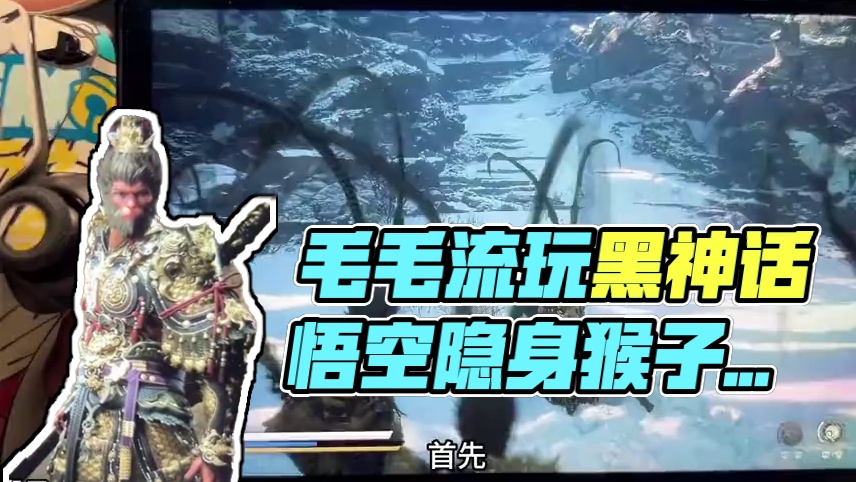 《黑神话悟空》毛毛流玩法爽就完了 #黑神话悟空 #还得是主机大作 #游戏风向标 #主机单机 #ps5