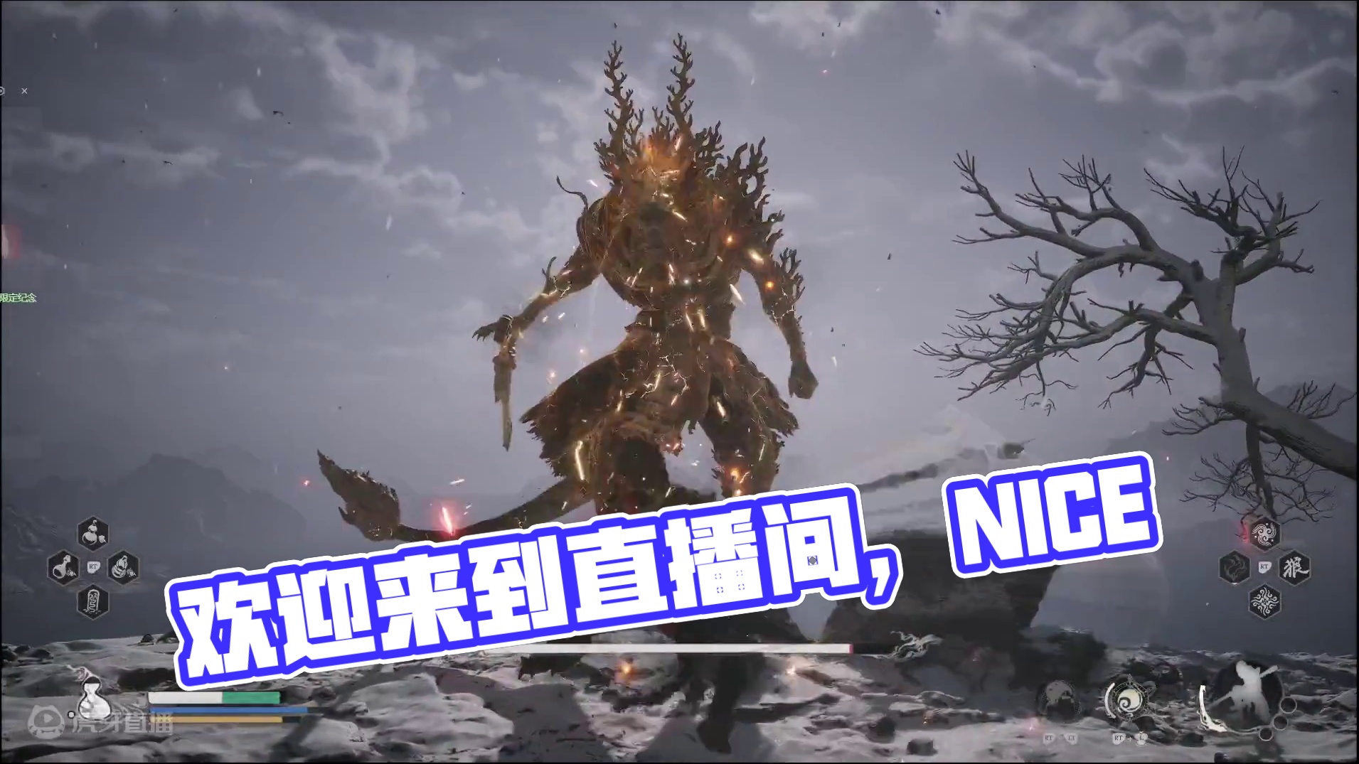 欢迎来到我的直播间片段1