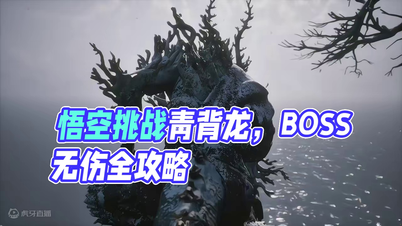 黑神话悟空全boss无伤攻略：青背龙 #黑神话悟空  #黑神话悟空创作激励  #黑神话悟空boss攻