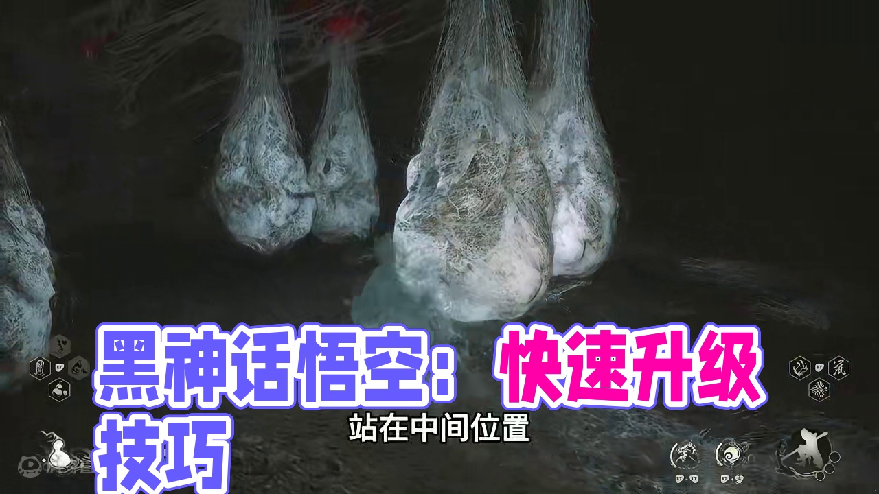 《如何快速获取经验和灵蕴》 #黑神话悟空 #steam游戏 #游戏日常