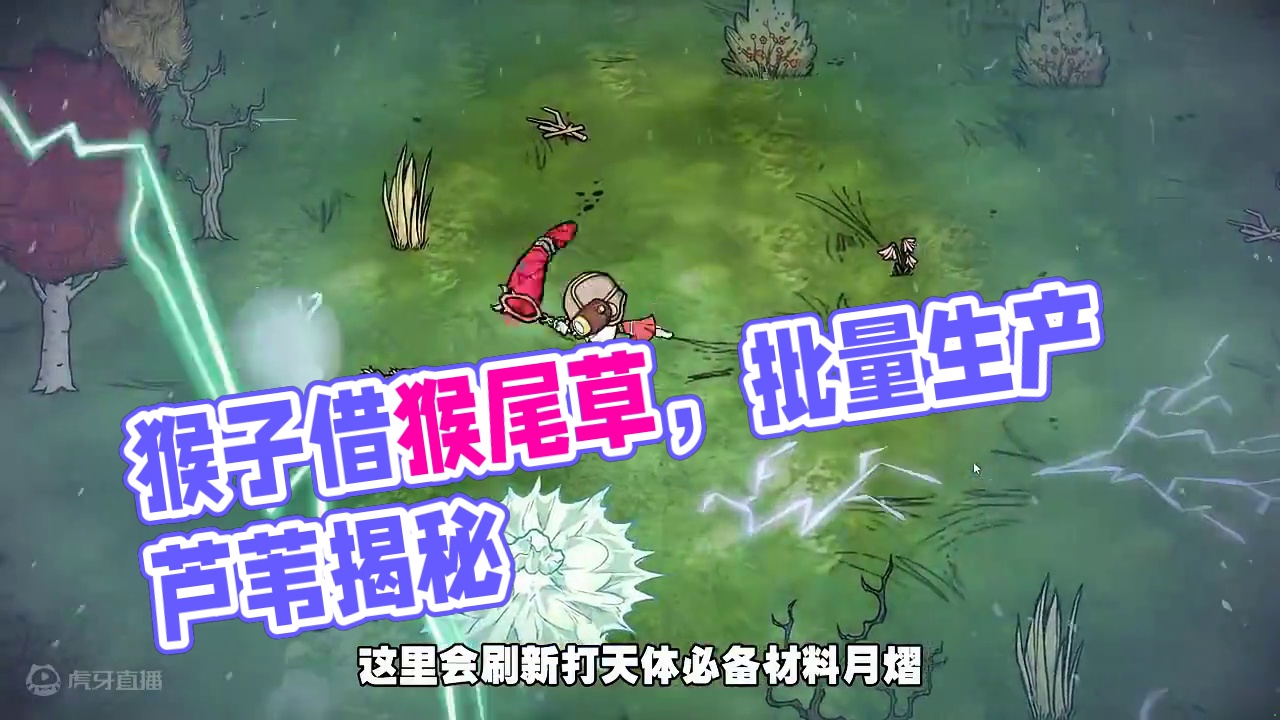 饥荒联机版：芦苇不够用？找猴子借一点猴尾草 #饥荒