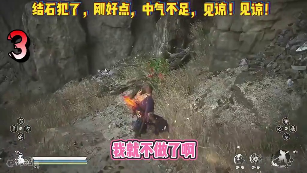 最难刷的玩意！（火灵草）结实未愈，中气不足，见谅见谅！ #新游鉴赏家 #黑神话悟空 #黑神话悟空创作