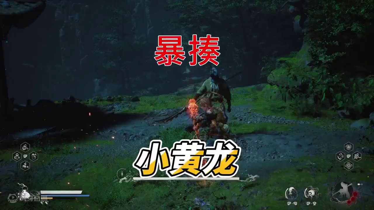 【黑神话·悟空】丝滑连招，轻松暴揍小黄龙！ #黑神话 #黑神话悟空  #内容启发搜索  #黑神话悟空