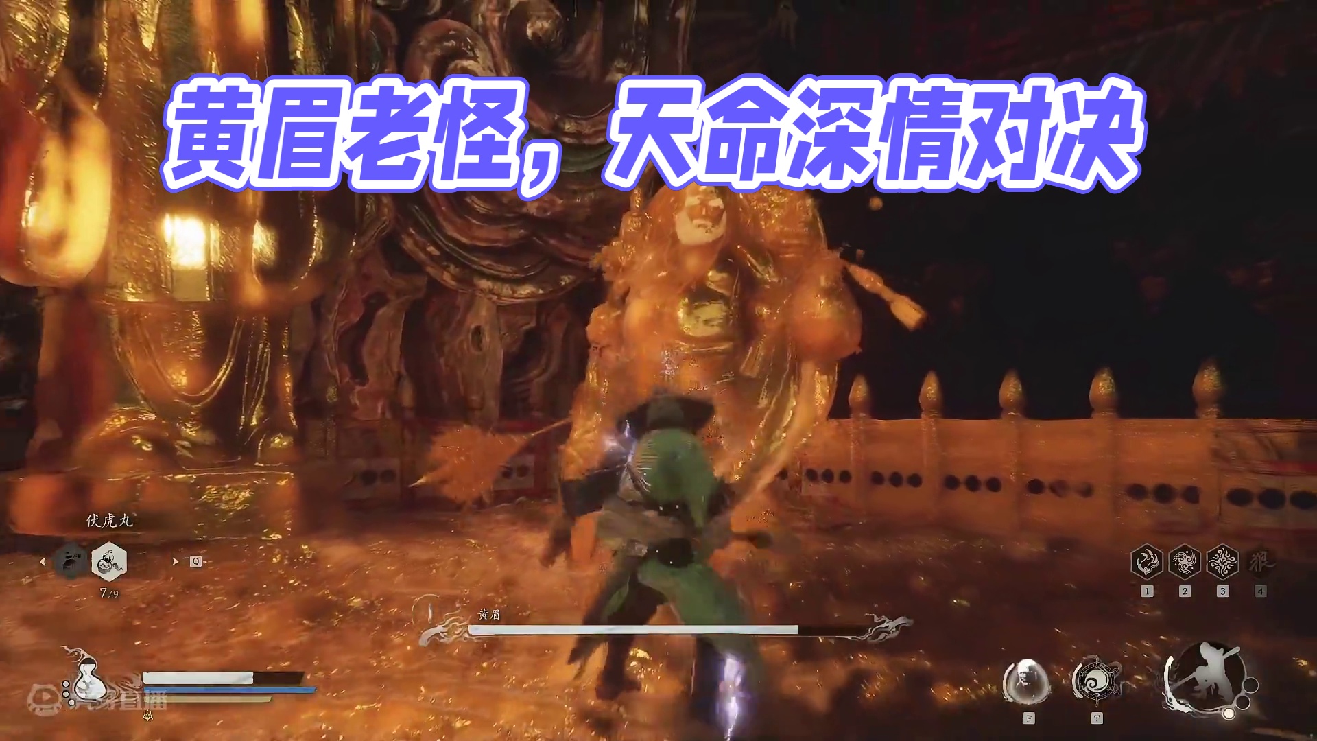 黄眉老怪