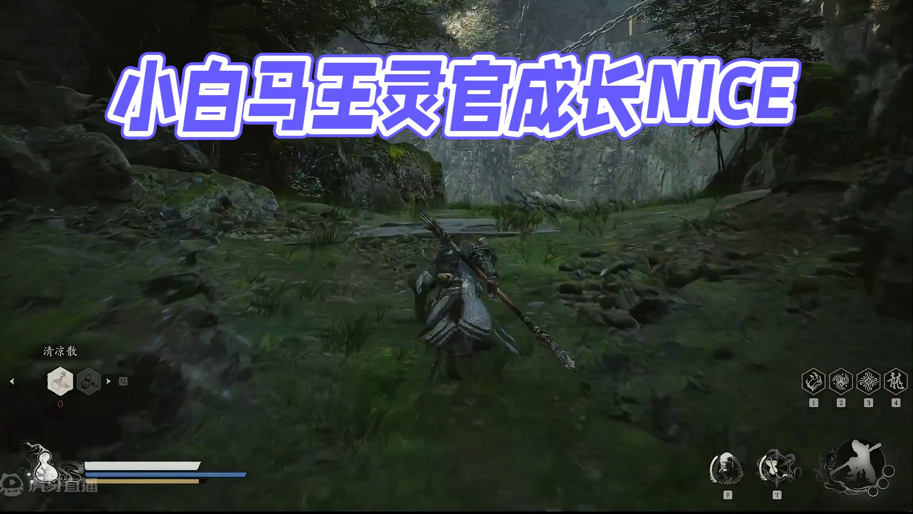 小白马喽成长之路-王灵官篇