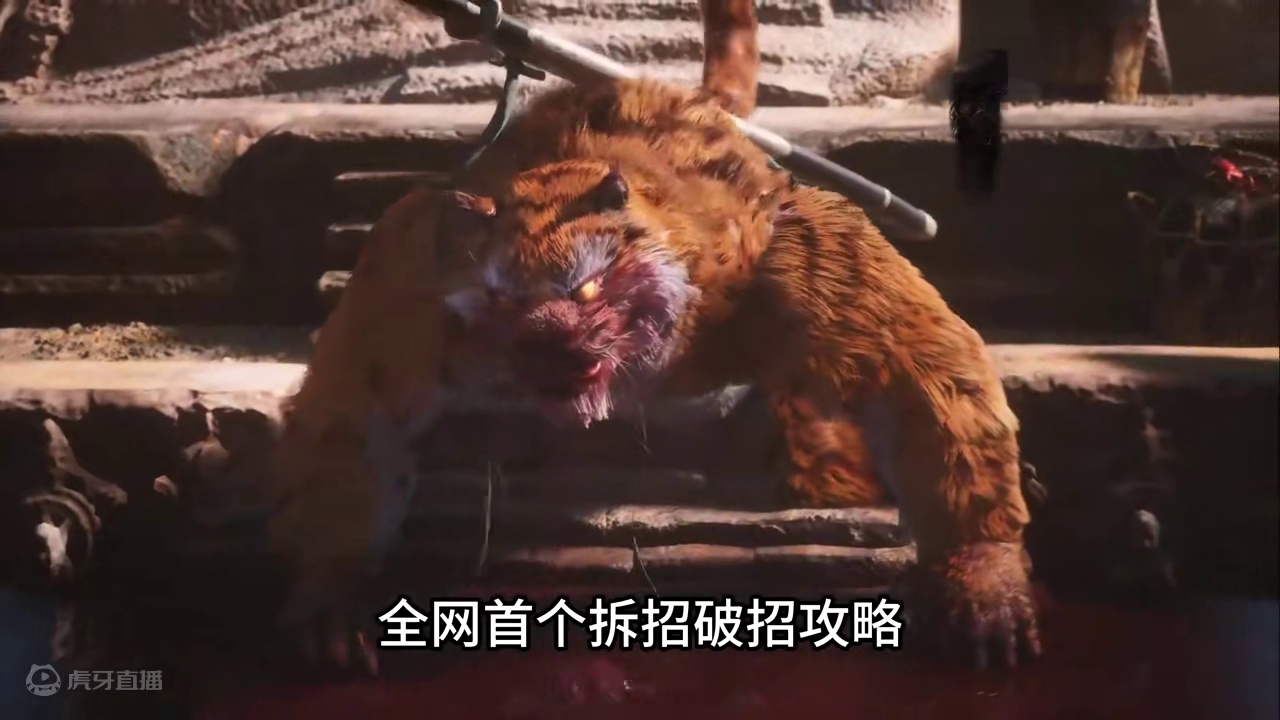 黑神话悟空虎先锋动作拆解打法攻略！ #黑神话悟空  #游戏攻略  #黑神话悟空创作激励 #黑神话虎先