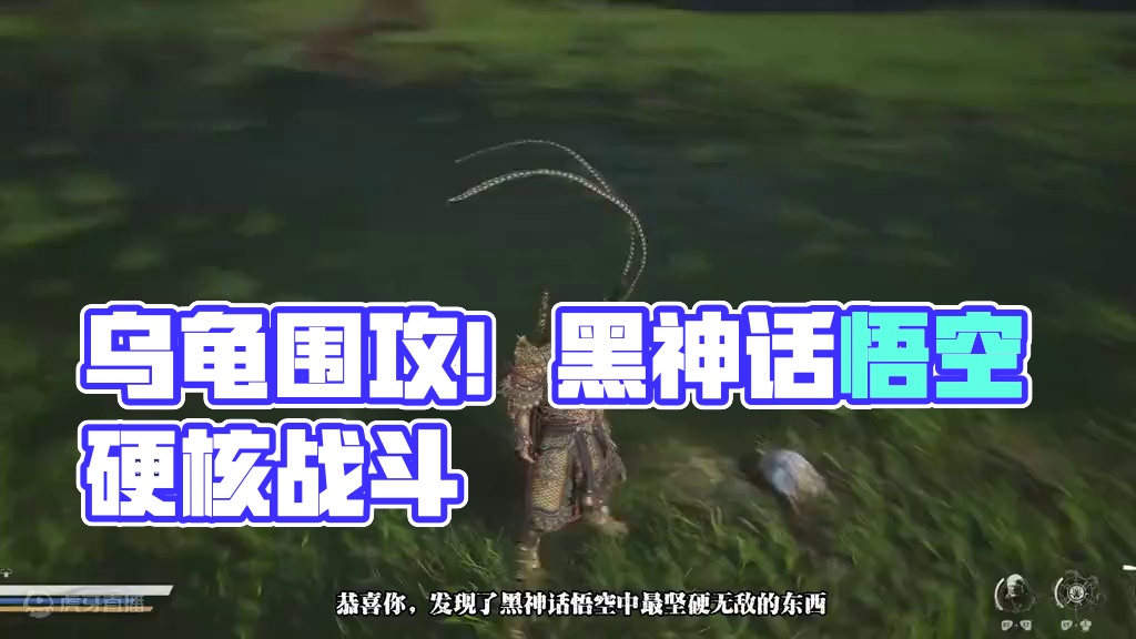 你告诉我这是乌龟？（超大声） #黑神话悟空  #游戏日常 #steam游戏 #游戏中的名场面