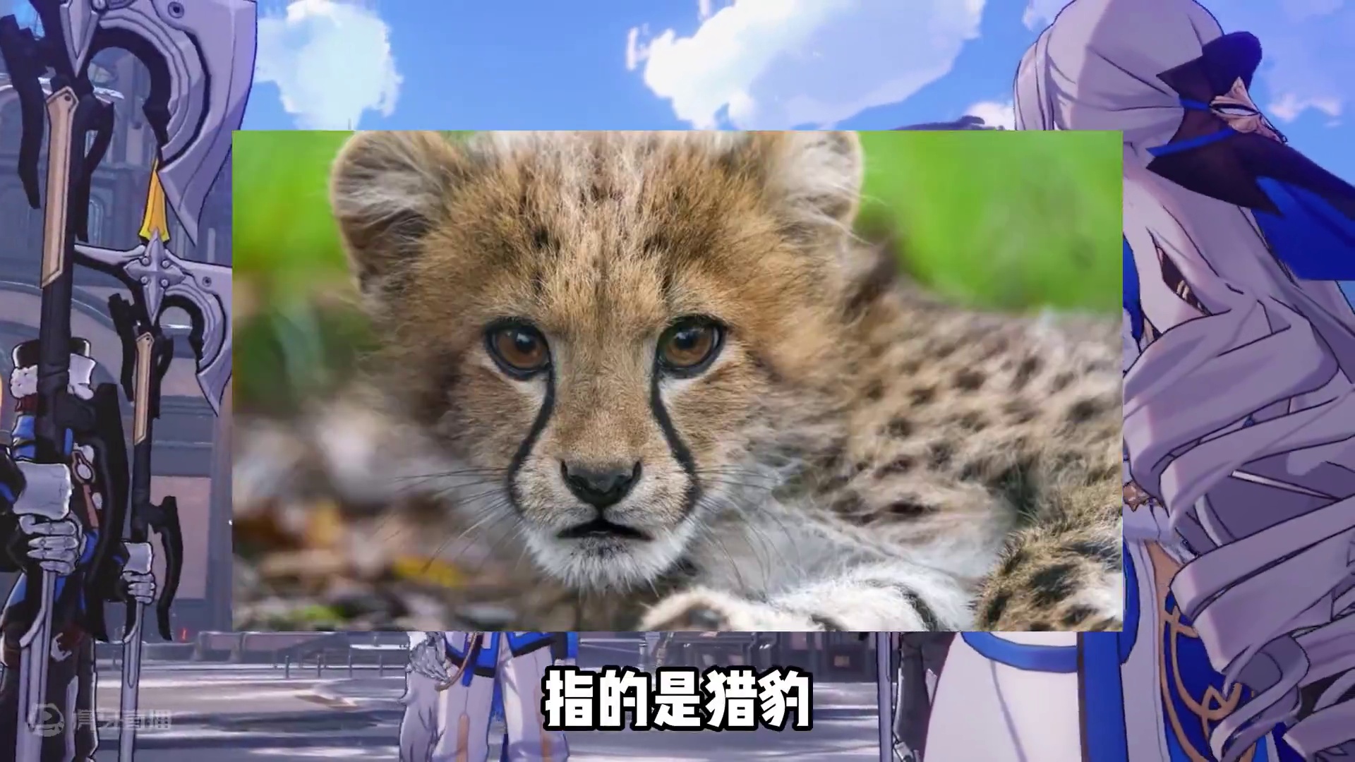 崩铁角色名字的含义 #崩坏星穹铁道 #明霄竞武试锋芒 #碧羽飞黄射天狼 #二次元 #游戏