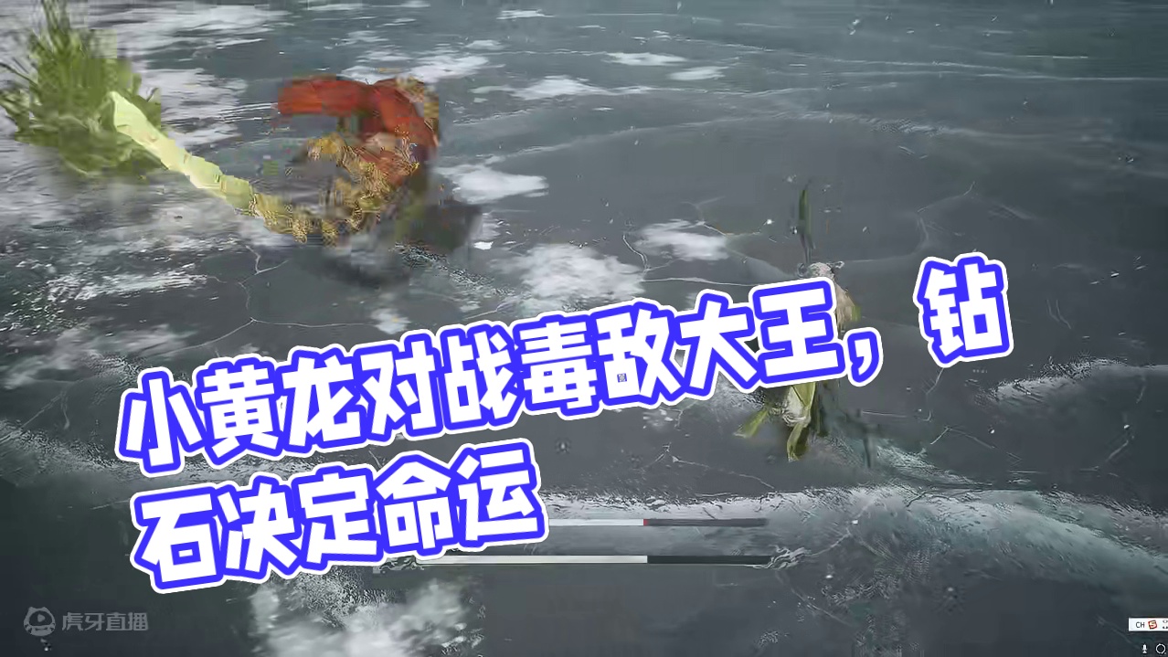 小黄龙VS毒敌大王！最受苦两BOSS打起来会发生什么? #黑神话悟空   #黑神话悟空创作激励