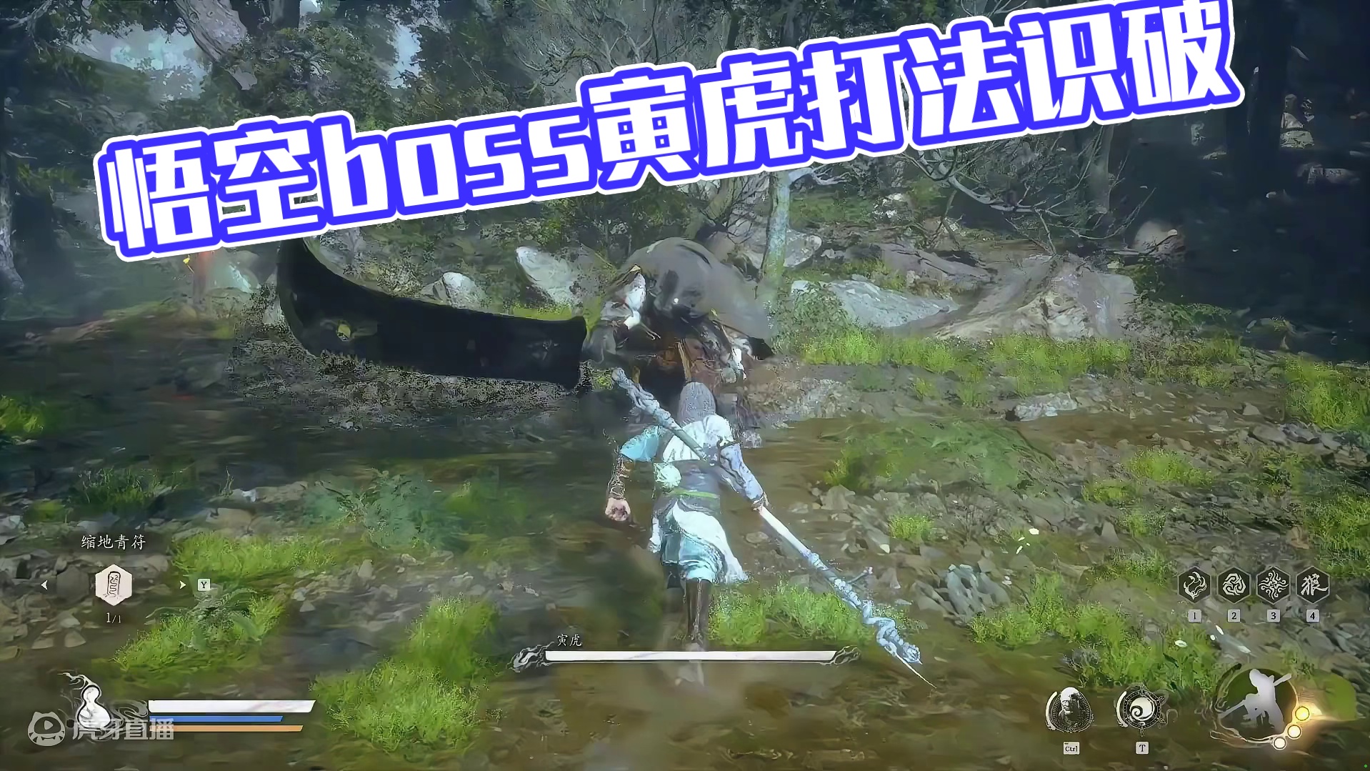 #黑神话悟空boss 寅虎的打法，寅虎怎么打，识破寅虎。 #黑神话寅虎 