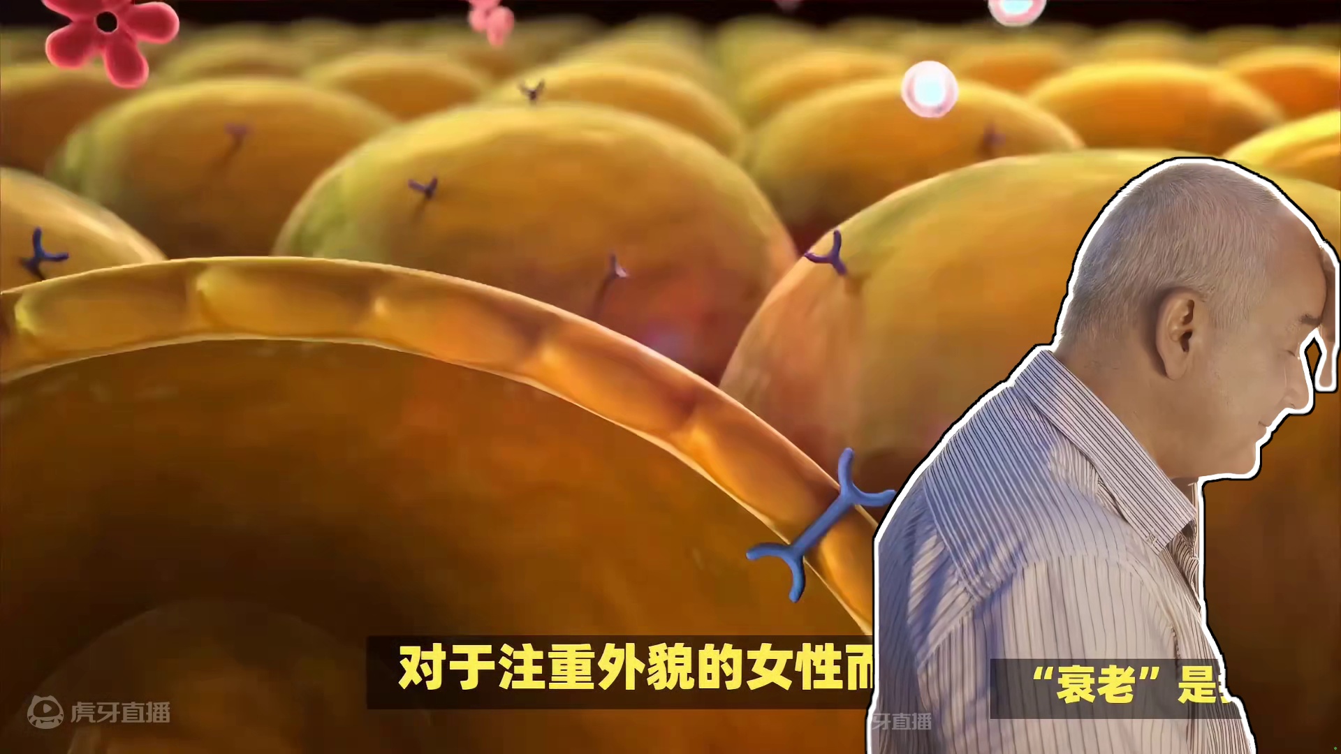 女人衰老迹象，最初显现于这3个部位