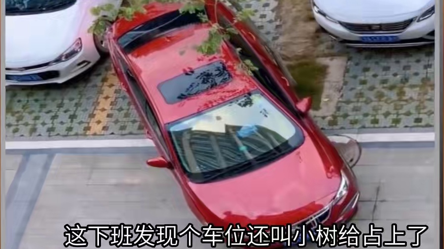 东北话搞笑配音，女司机反复刮蹭小树 东北话搞笑配音，女司机反复刮蹭小树#搞笑配音 #搞笑视频 #东北