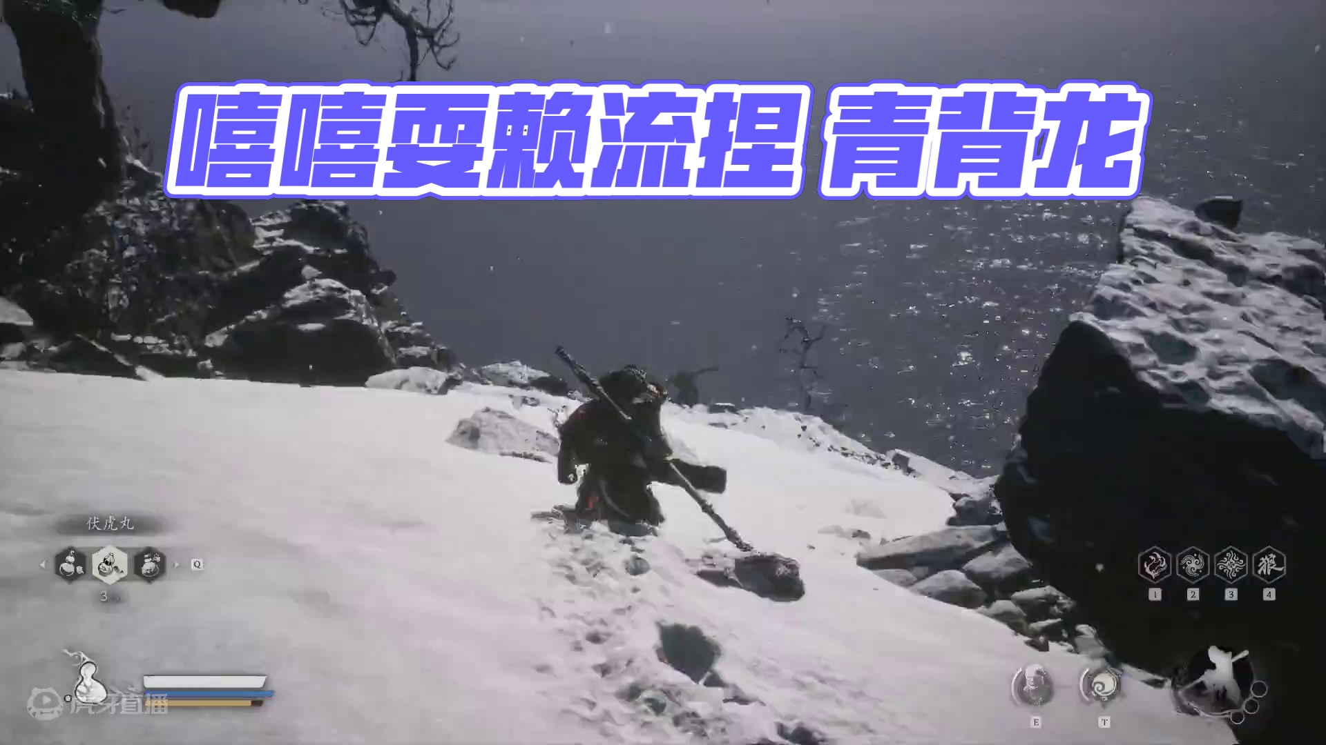 嘻嘻耍赖流捏 青背龙