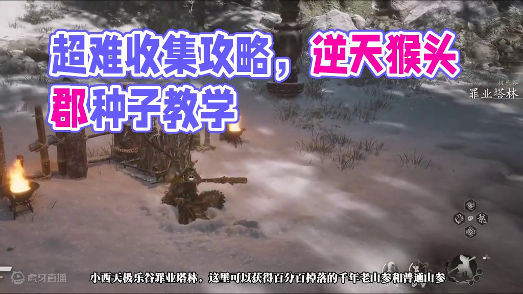 逆天的成就，超难的12个种子收集攻略【黑神话悟空】 #黑神话悟空  #游戏日常分享 #大型单机游戏 