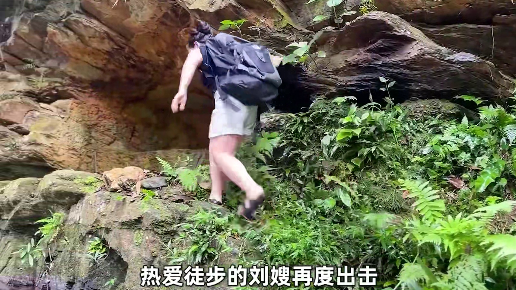 刘嫂今天又捡到个野生庇护所 #野外生存 #野外建造 #大自然的鬼斧神工