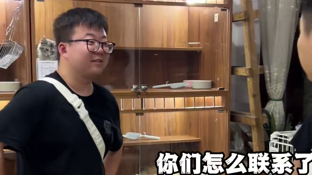 差点就被这个小姐姐套路到了！#壮实说猫 #纯白拿破仑