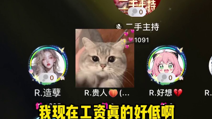 好想虐待主持永不录用#搞笑 #语音厅