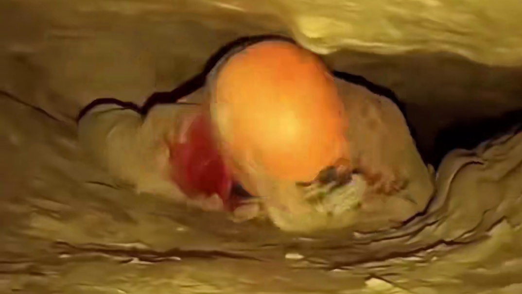 如何洞穴探险 #冷知识