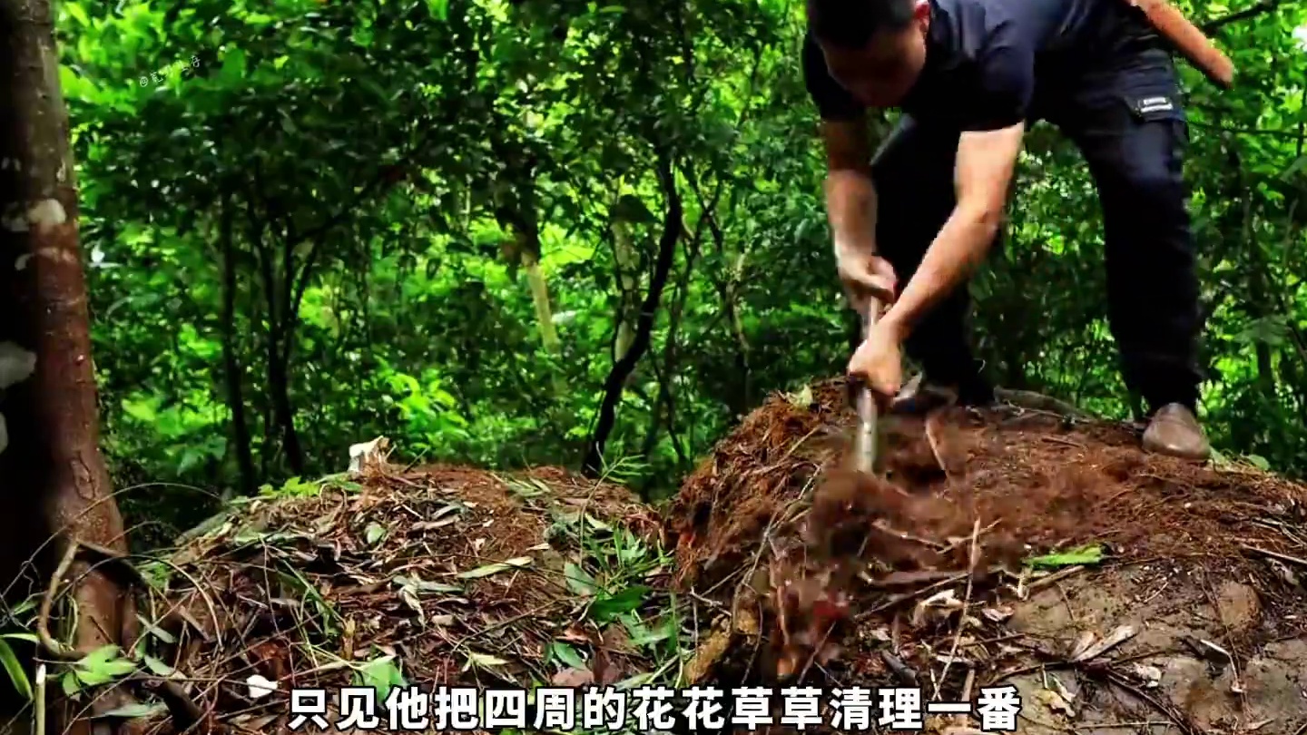 男人只是多看了一眼这块巨石，就将其改造成合适居住的家！ #荒野建造 #解压 #野外建造