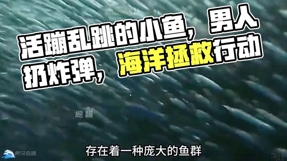 活蹦乱跳的小鱼不吃，却全部扔地上。#小鱼仔 #深海小鱼仔