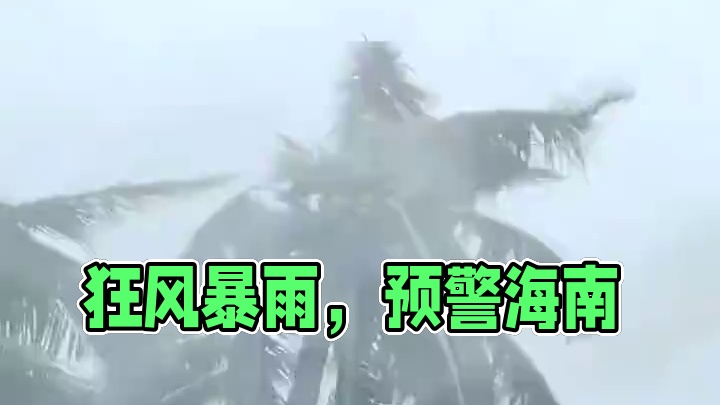 #第11号台风“摩羯”来袭 #海南台风 #狂风暴雨来袭 #风力实在太强了原视频