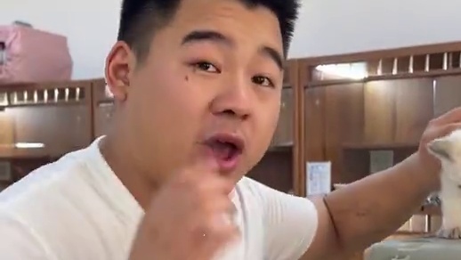 这十多只甜美的小猫咪 有没有长到你心里去？#壮实说猫 #金渐层 #德文