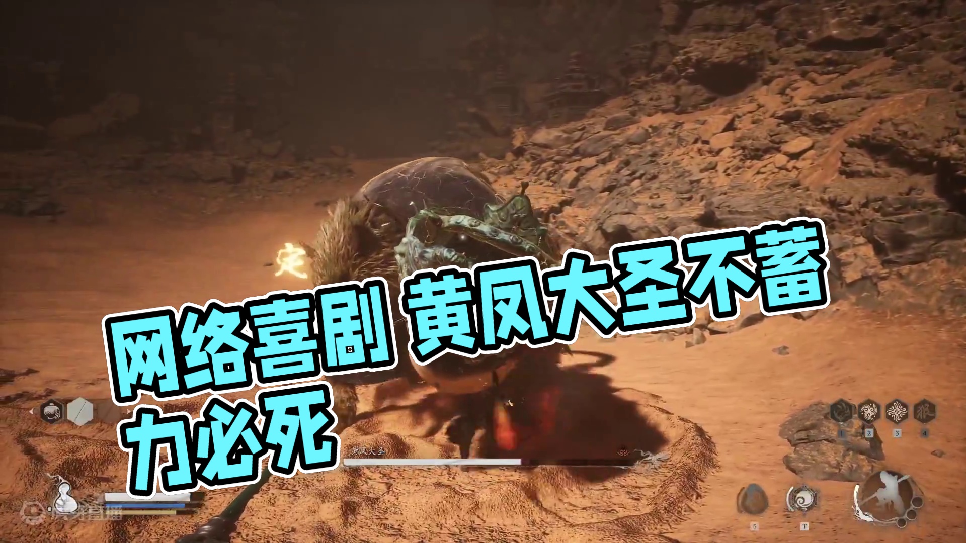 黄凤大圣 不蓄力会死星人