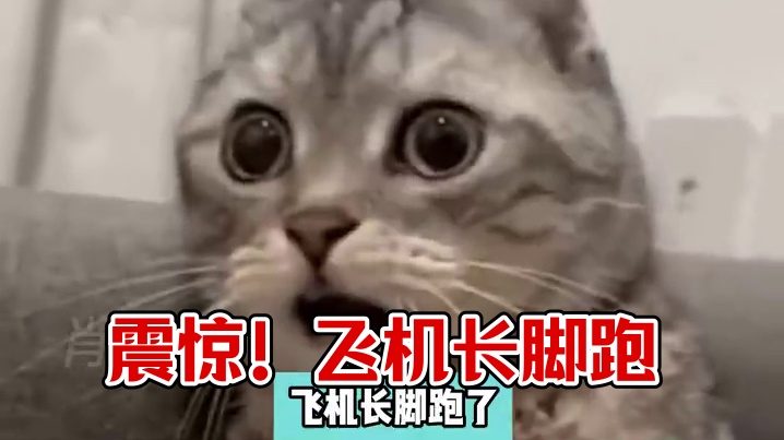 我知道这很扯，但你一定要看完 #万万没想到 #震惊 #搞笑