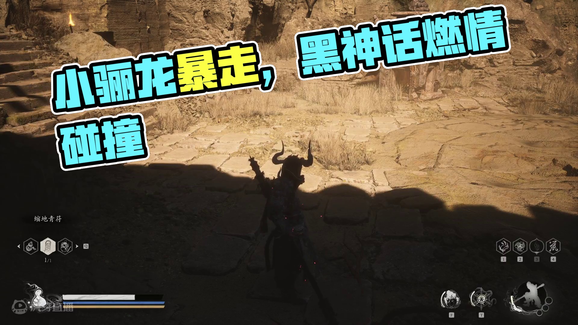 小骊龙 第六周目