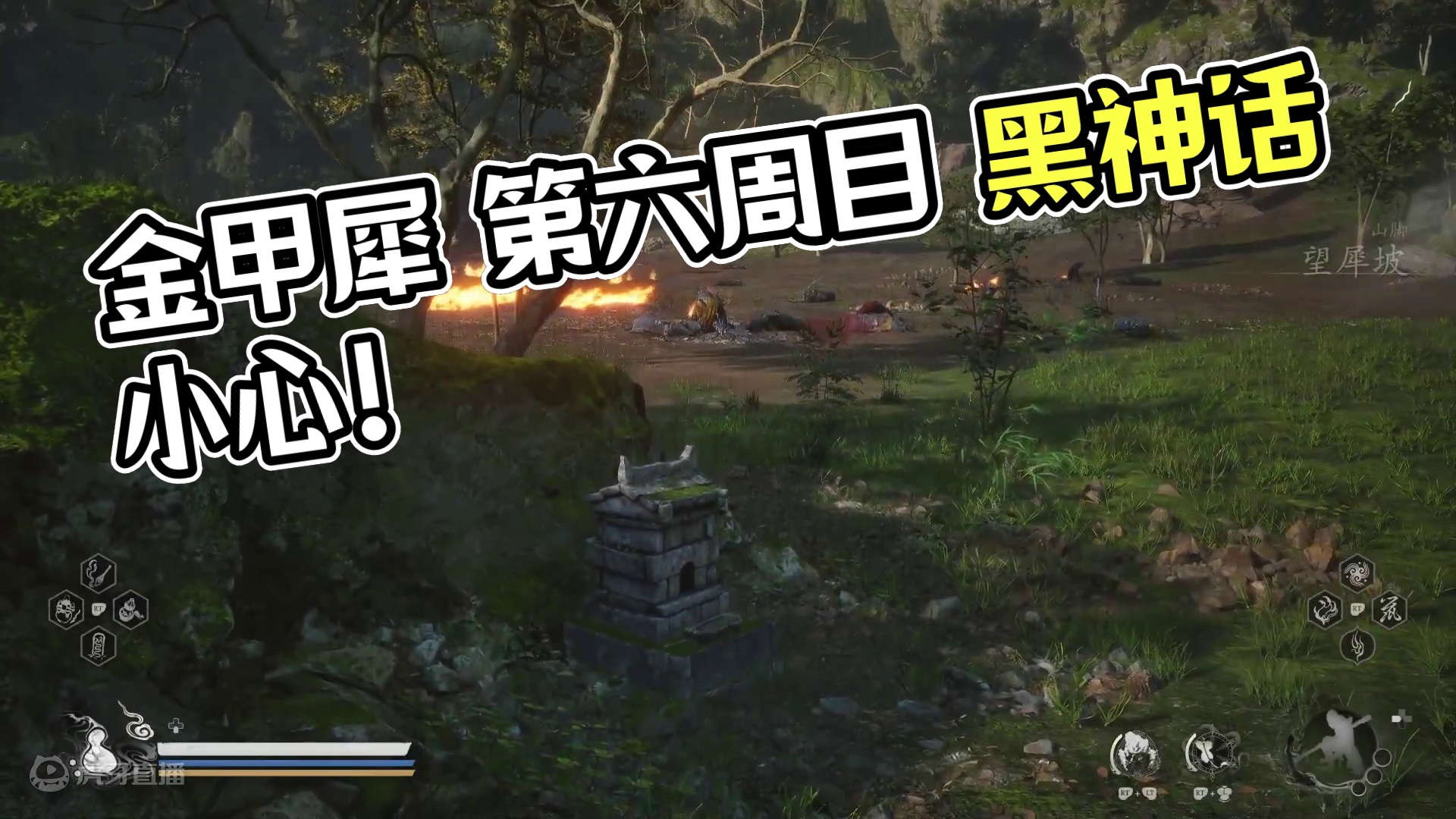 金甲犀 第六周目