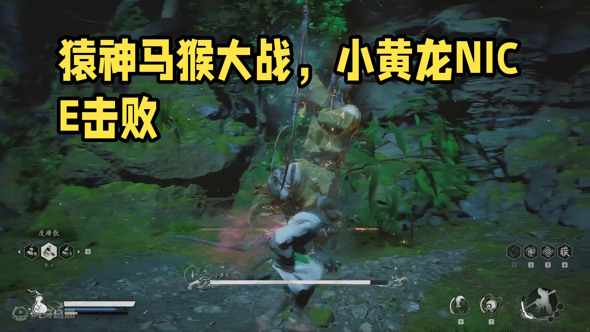 猿神启动-第四章-小黄龙