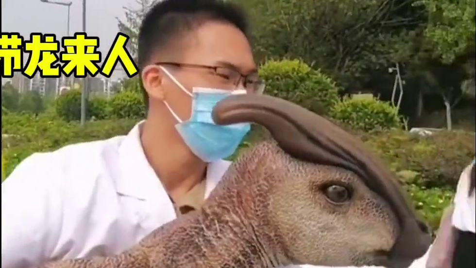 当山海里的异兽照应现实，会是什么体验呢，万年大贝来人捕捉 #妄想山海  #妄想山海鲲鲲福报  #卡皮