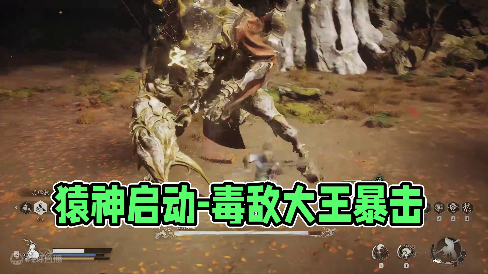 猿神启动-第四章-毒敌大王