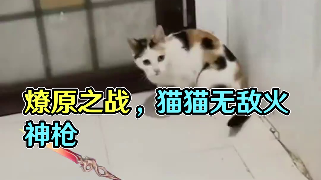 看我猫猫枪法，六尺之内我是无敌的！ #王者荣耀星之破晓  #猫咪
