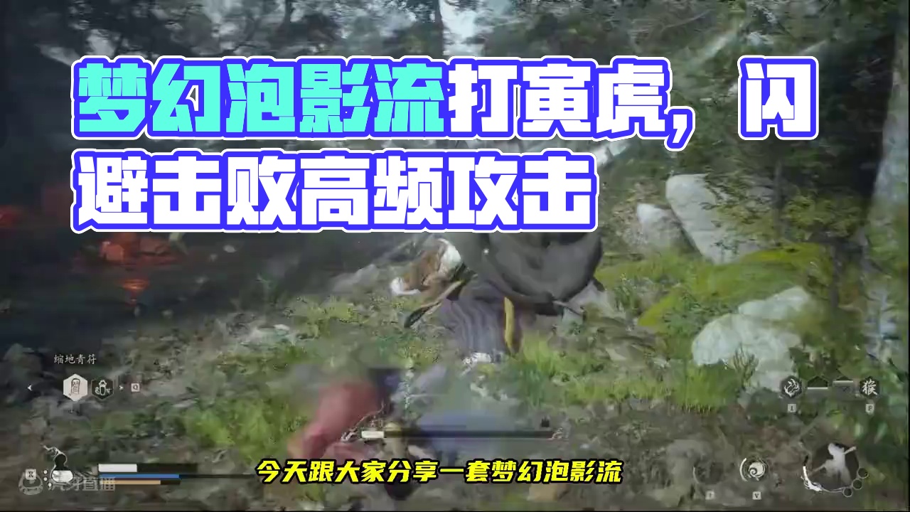 梦幻泡影流打寅虎，闪避也能出不俗伤害 #黑神话悟空创作激励#黑神话寅虎 #黑神话悟空 #寅虎怎么打 