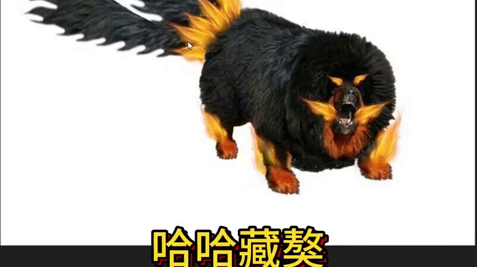 哇哦 这就是新的火神兽 藏獒原型的祸斗？基础属性面板天赋珍味等#妄想山海 #妄想山海鲲鲲福报 #新神